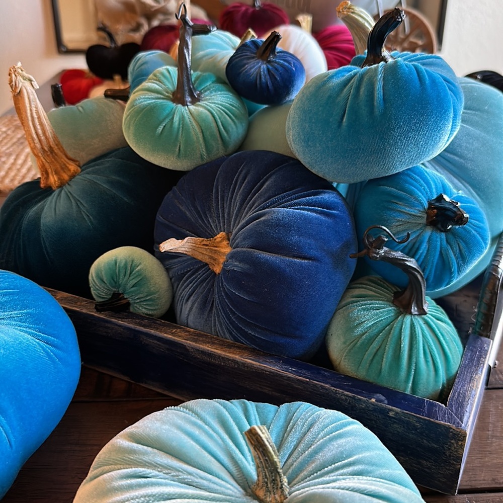 Velvet pumpkins!! - Picture 4 of 4